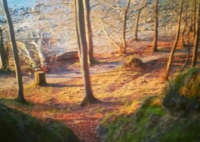 아파트 Floroe By Interhome 푸트버스